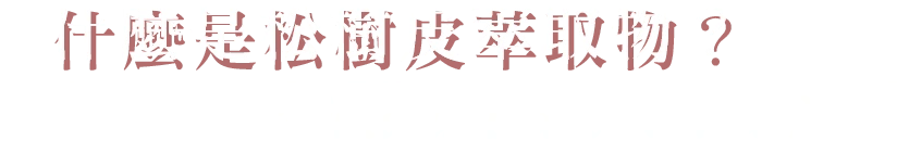 什麼是松樹皮萃取物?