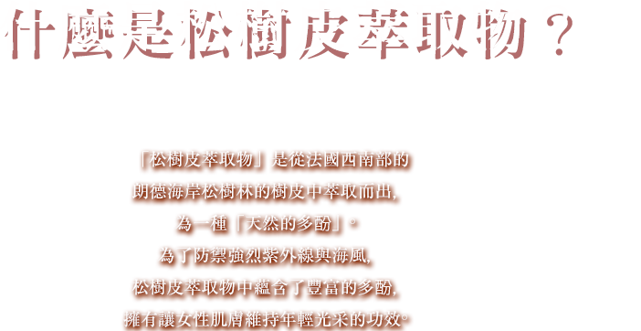 賦予肌膚清透亮澤…